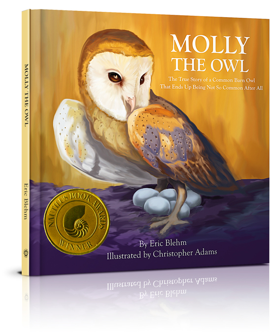 Barn owl Molly The Owl illustrated hardcover book